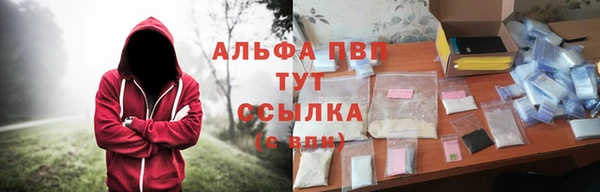 СК Абинск