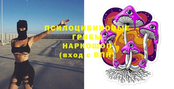 СК Абинск